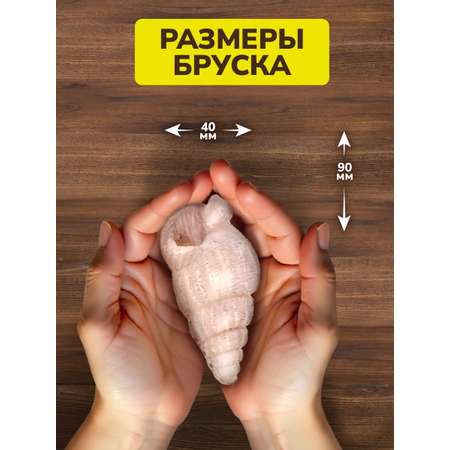 Набор для раскопок ON TIME Ракушка