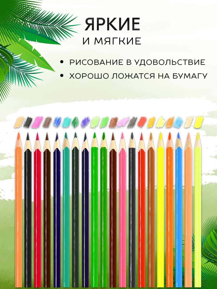 Карандаши цветные SCHOOLFORMAT 20 шт. - фото 3