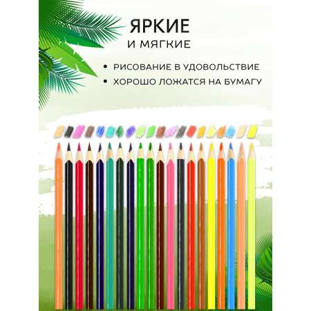 Карандаши цветные SCHOOLFORMAT 20 шт.
