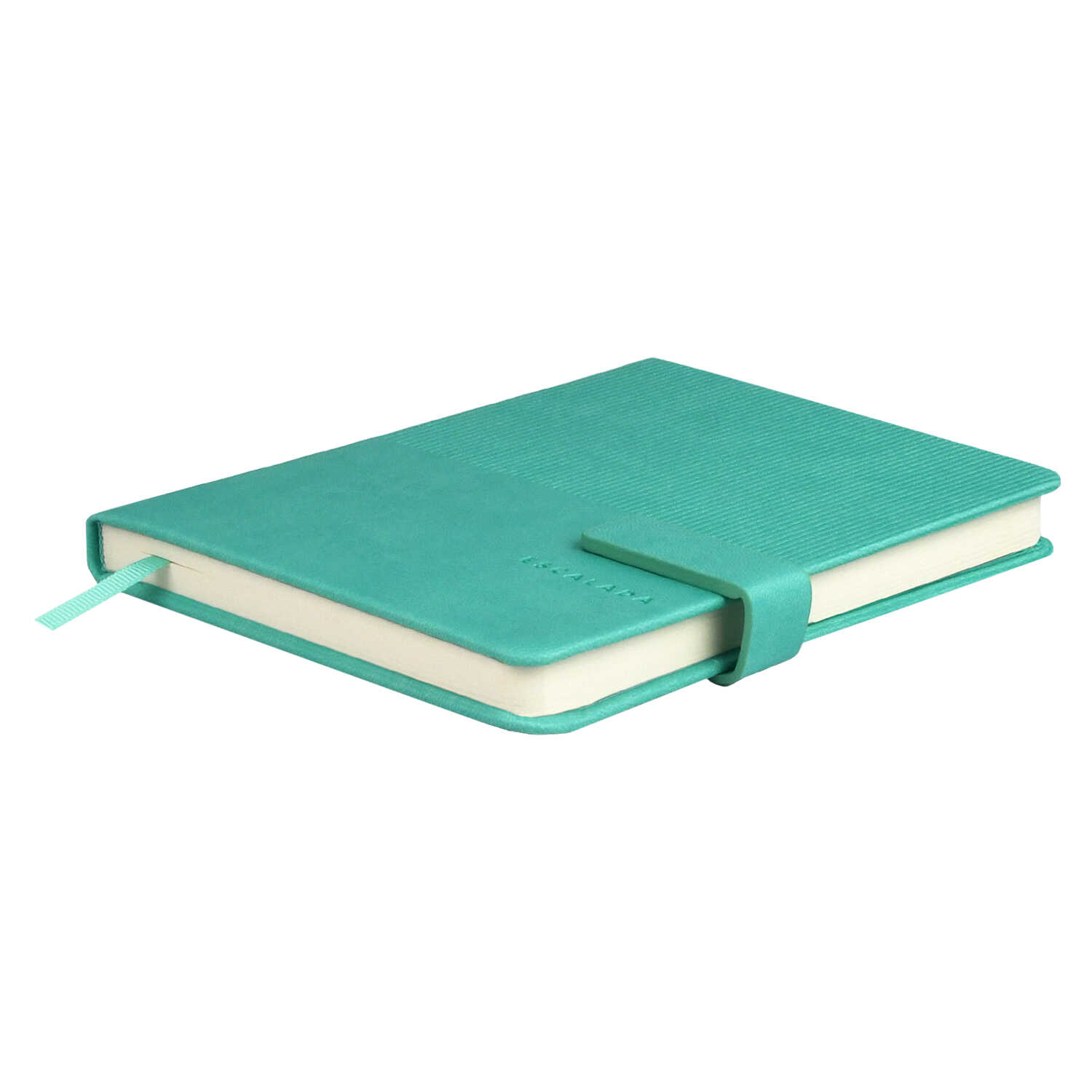 Ежедневник Феникс + ESCALADA 120 лист. - фото 2