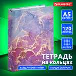 Тетрадь со сменным блоком Brauberg клетка 120 лист.