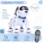 Собака РУ Автоград Дружок трюкач