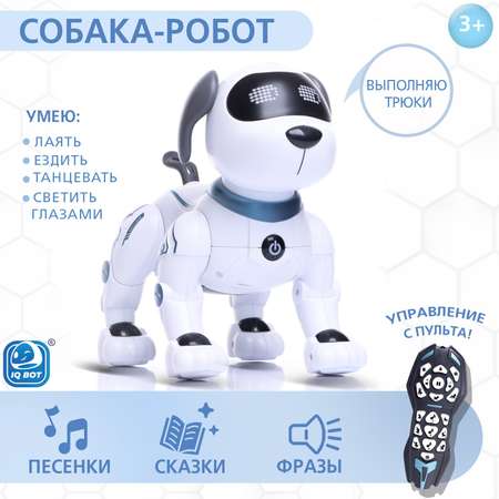 Собака РУ Автоград Дружок трюкач