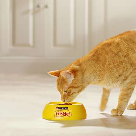 Корм для кошек Friskies курица гречка 75г