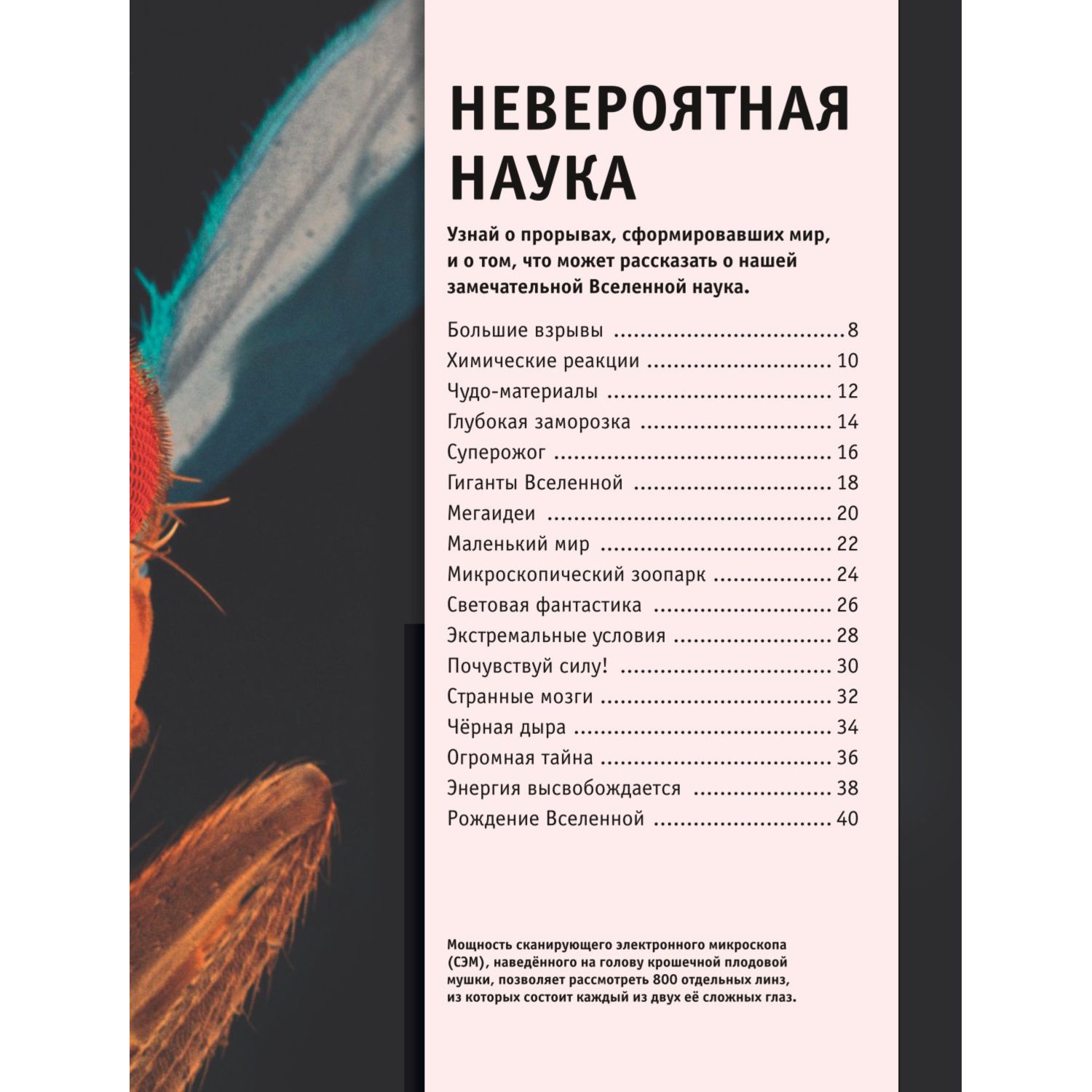 Книга Наука Книга юного эрудита - фото 5