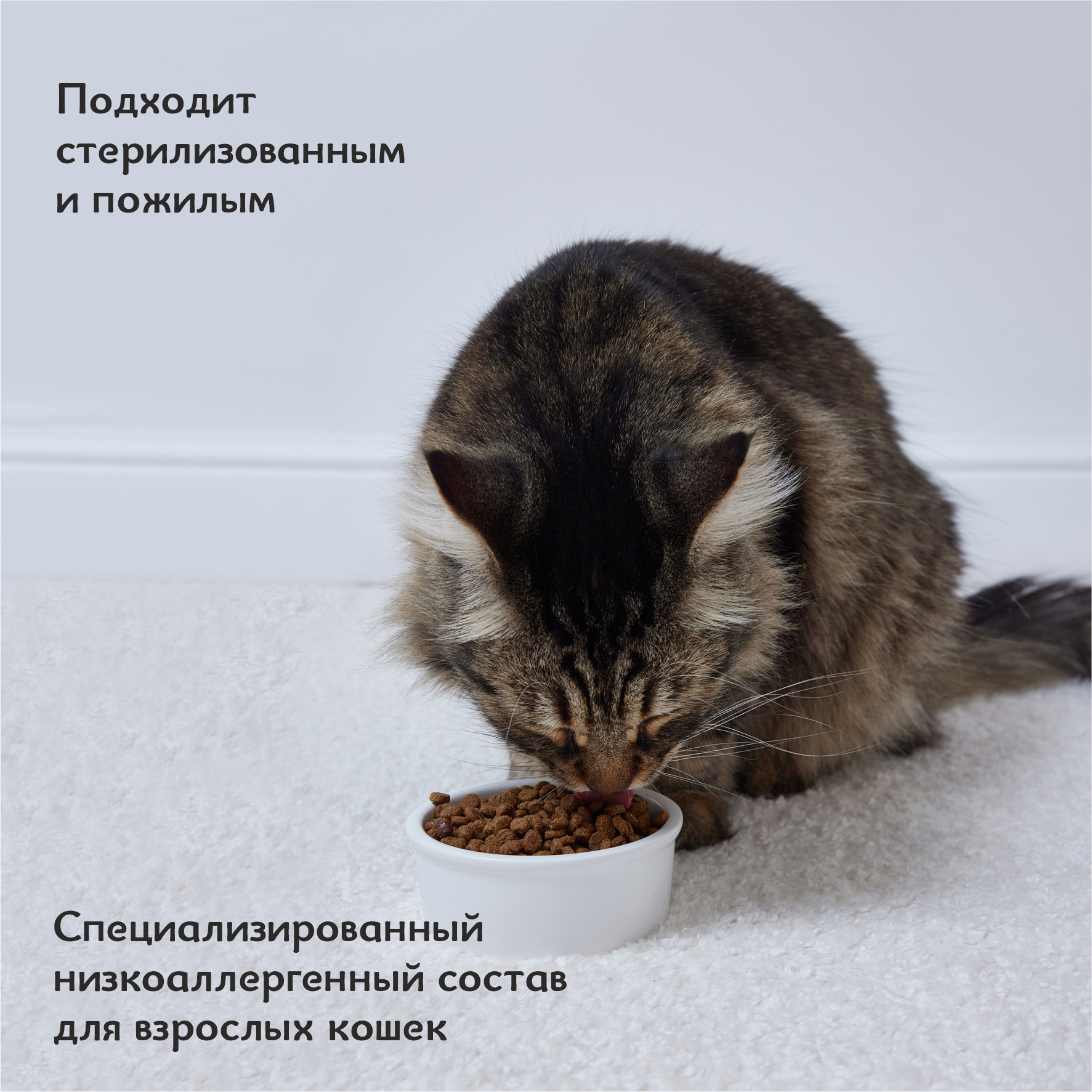 Корм для кошек Roybis сухой полнорационный для взрослых стерилизованных пород с индейкой 0.4кг - фото 5