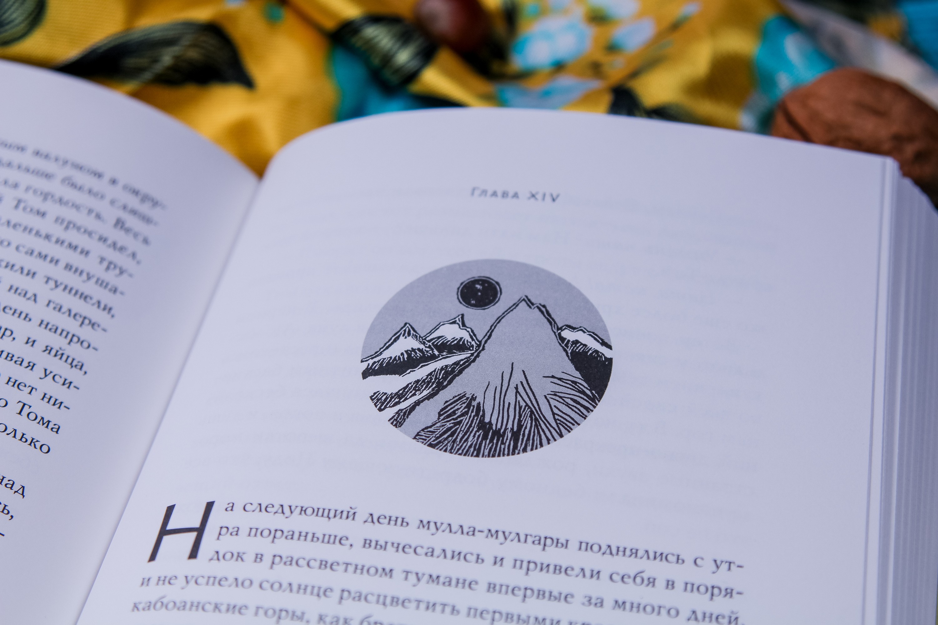 Книга Волчок Три обезьяны королевской крови - фото 8