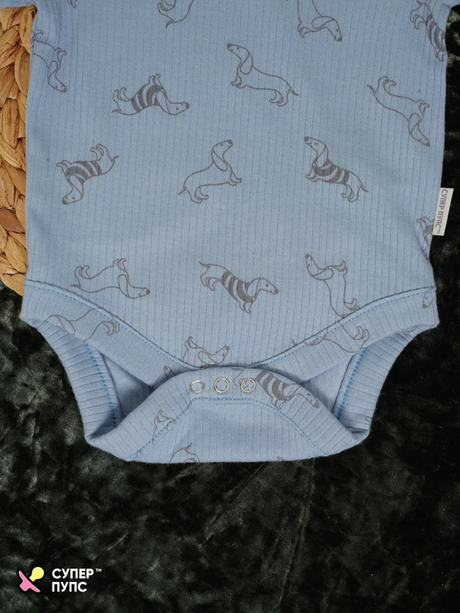 Боди 3 шт Супер Пупс нбр/3пр/бд/коррук/2026/таксы - фото 16