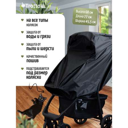 Trottola