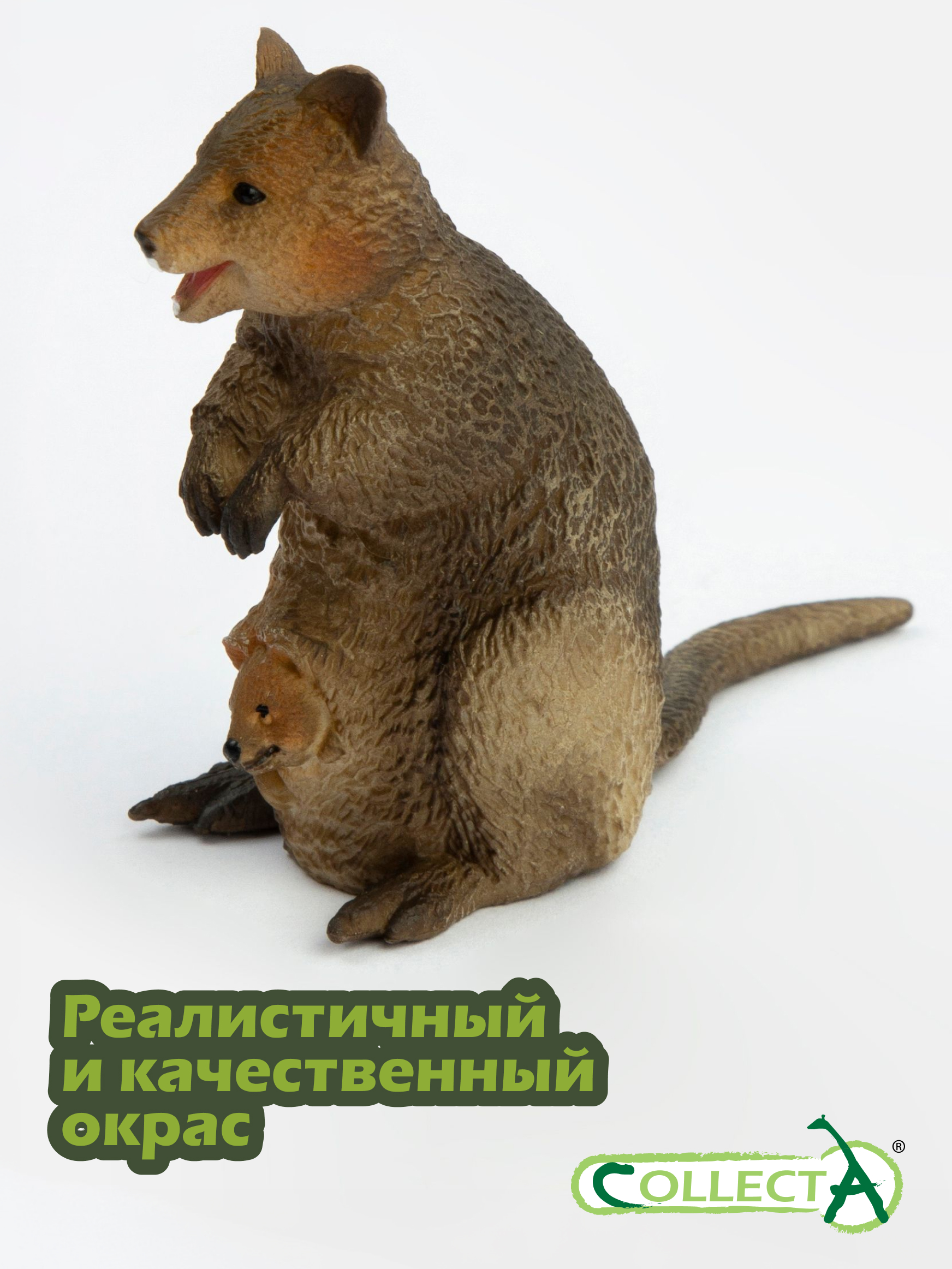 Фигурка Collecta Квокка с детёнышем 6 см - фото 4