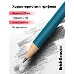 Карандаши чернографитные ErichKrause 12 шт.