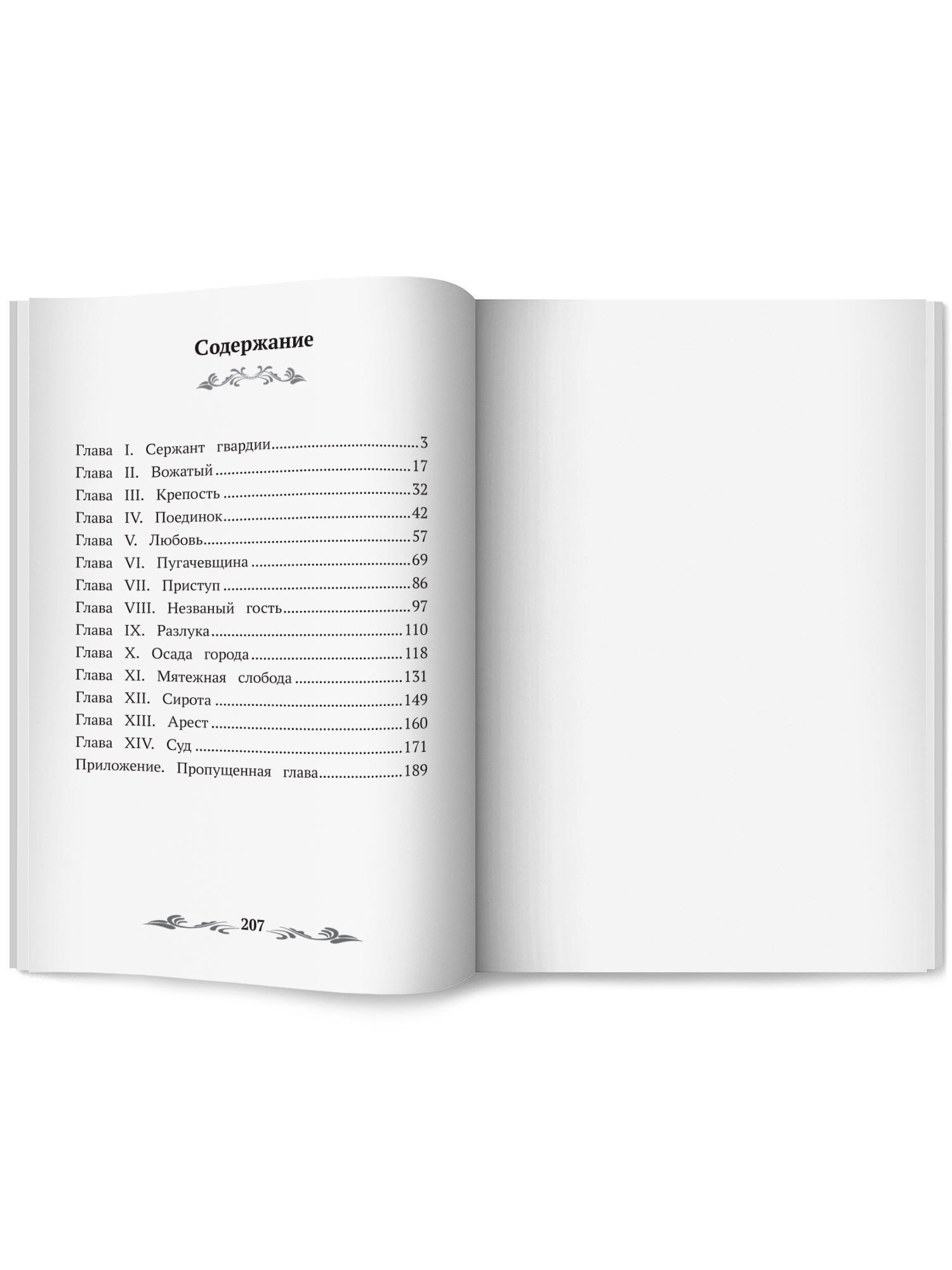 Капитанская дочка. Школьная программа Феникс Книга - фото 9