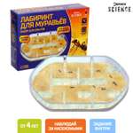 Набор для опытов Эврики