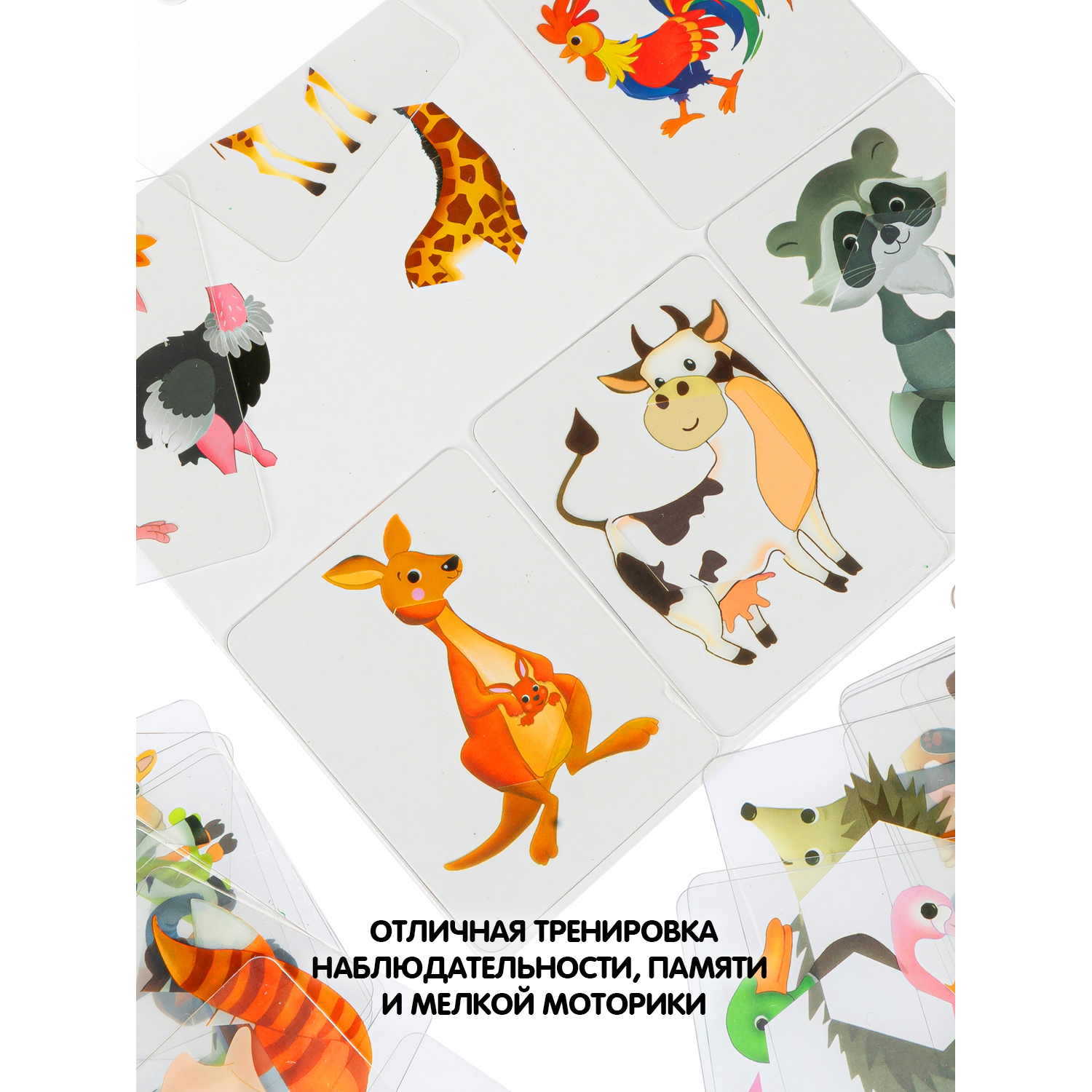 Настольная игра Bondibon сортер для малышей Животные - фото 8