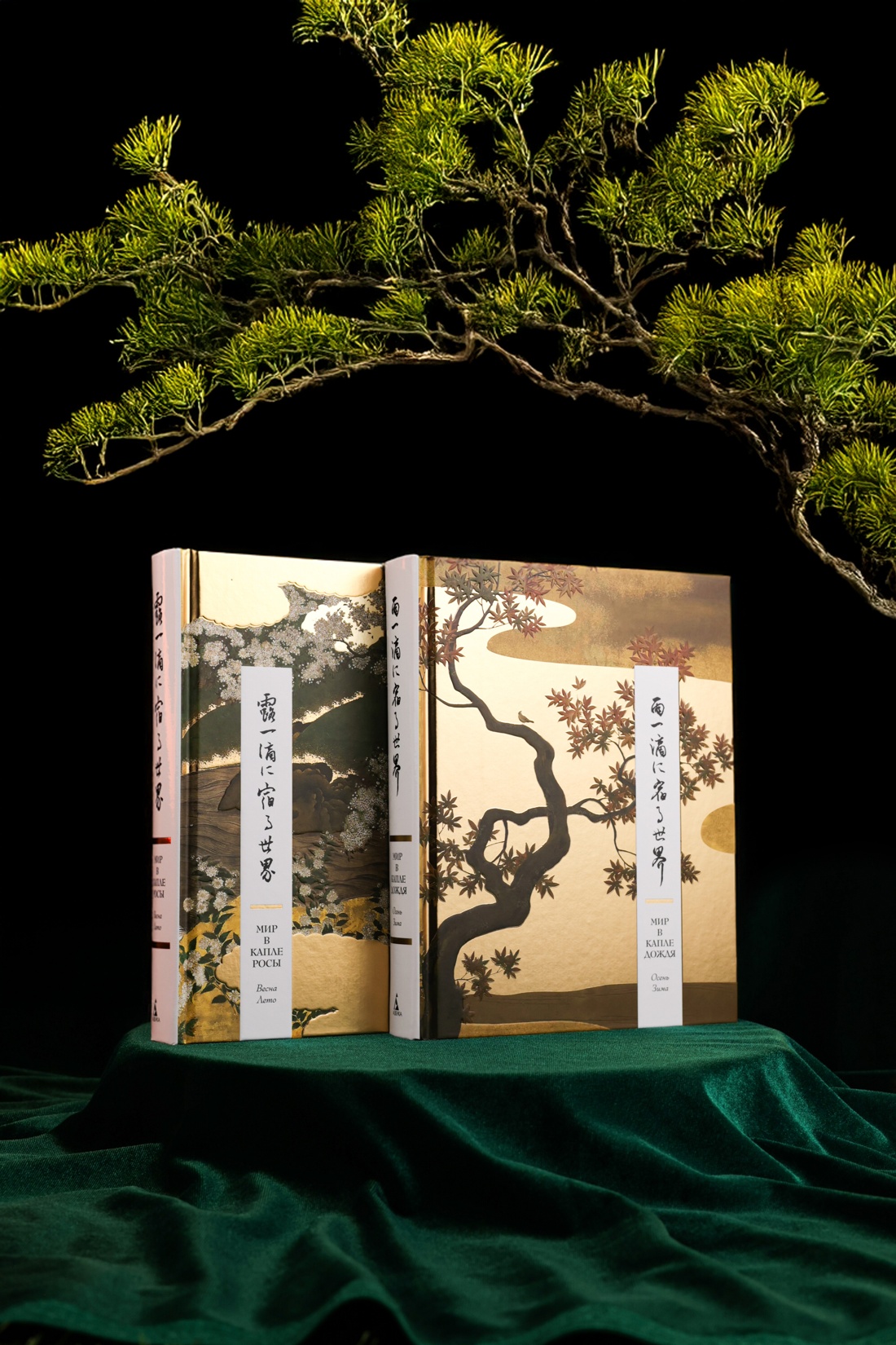 Книга АЗБУКА Мир в капле - фото 3