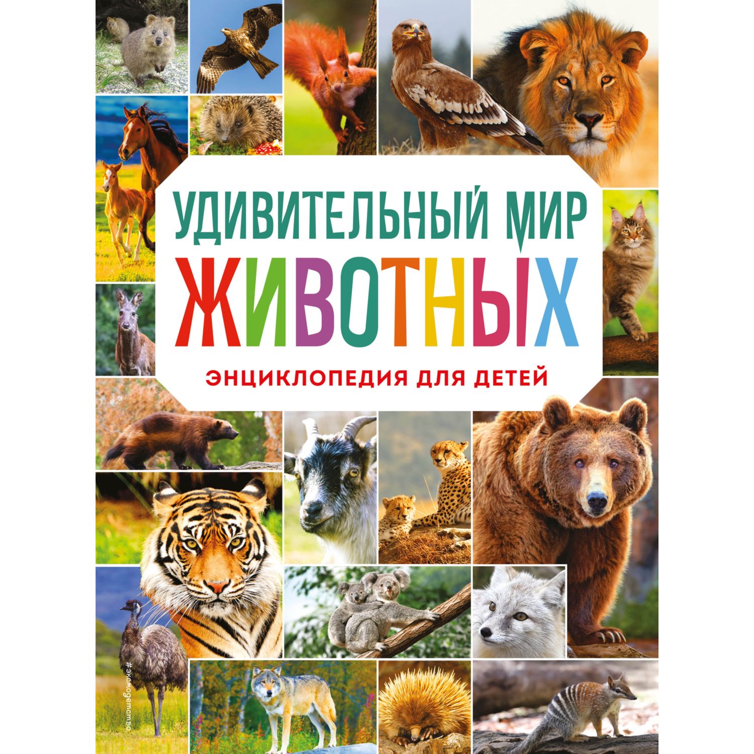 Книга Эксмо Удивительный мир животных Энциклопедия для детей - фото 1