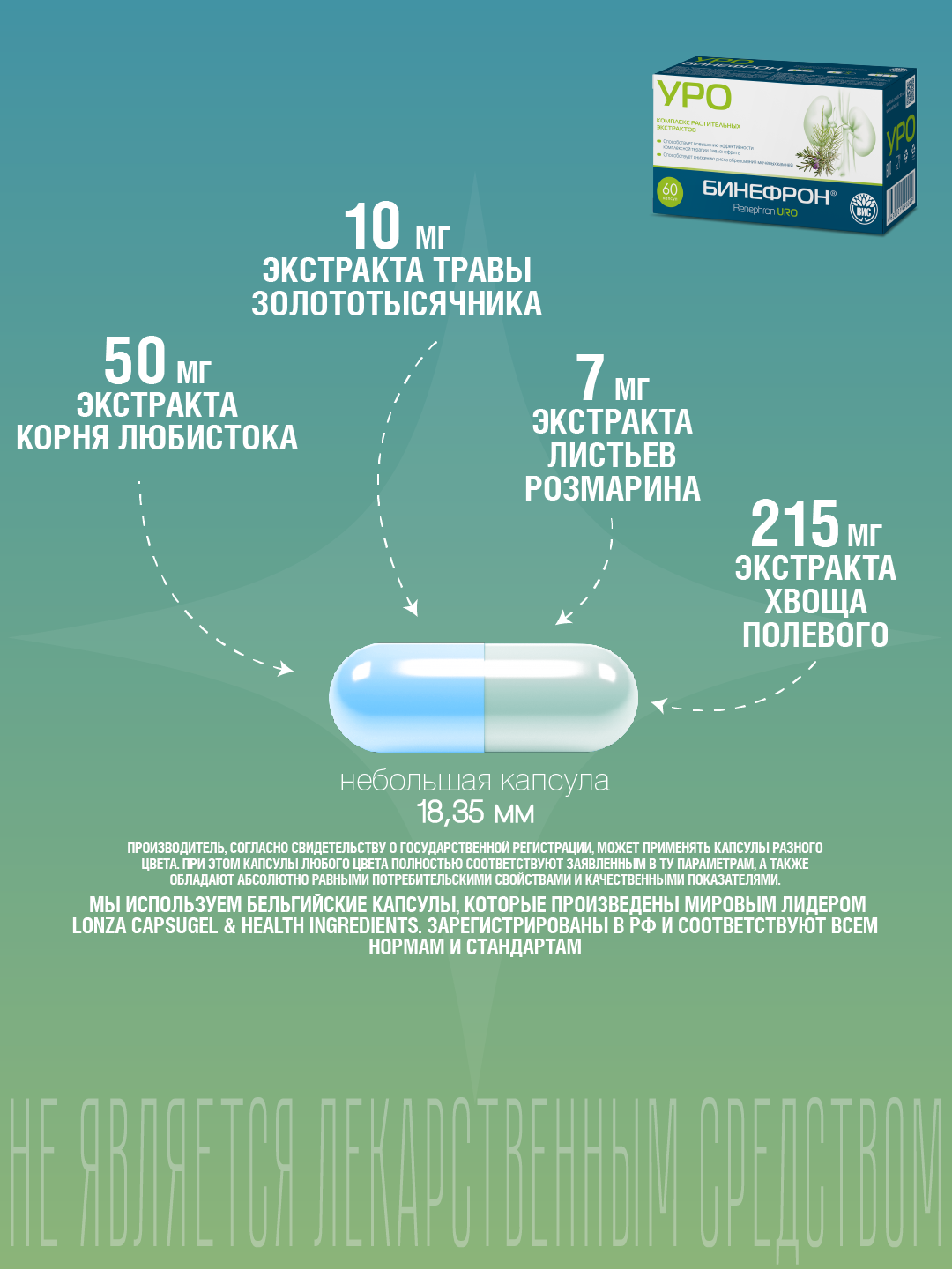 БАД ВИС Бинефрон УРО капсулы №60 - фото 6