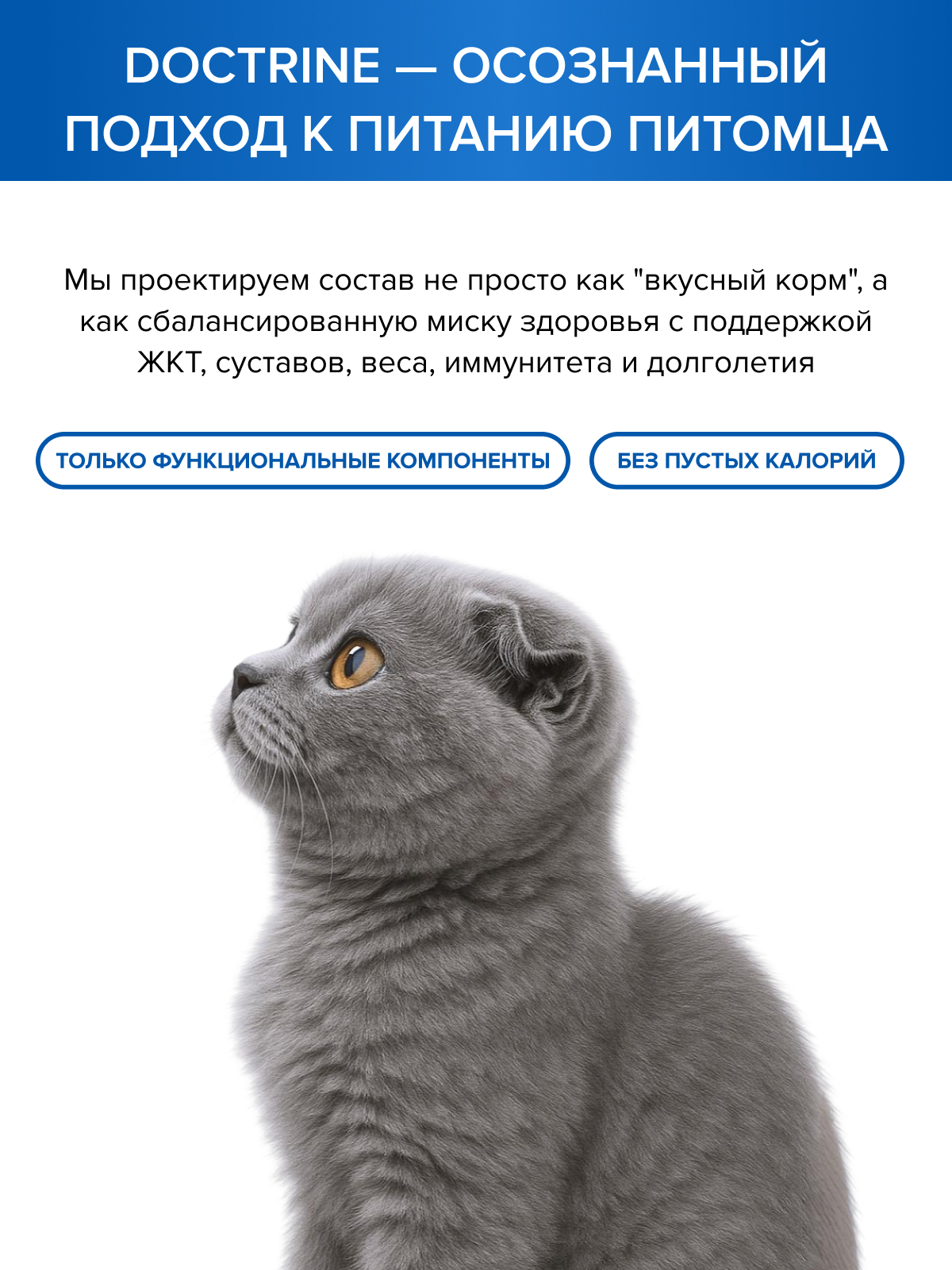 Корм для кошек DOCTRINE сухой с лососем и белой рыбой 10 кг - фото 10