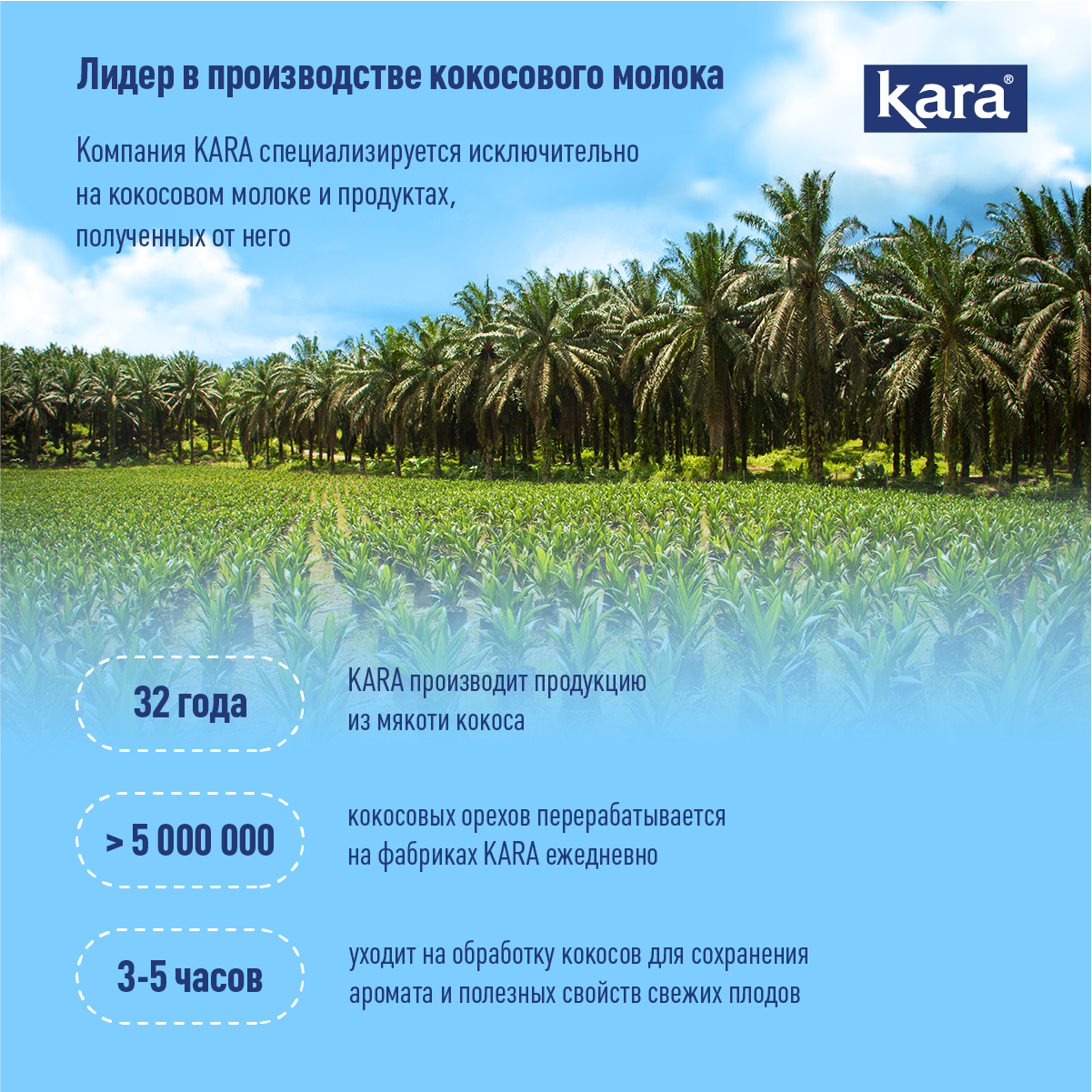 Сливки кокосовые Kara 400 мл Ж/Б - фото 4