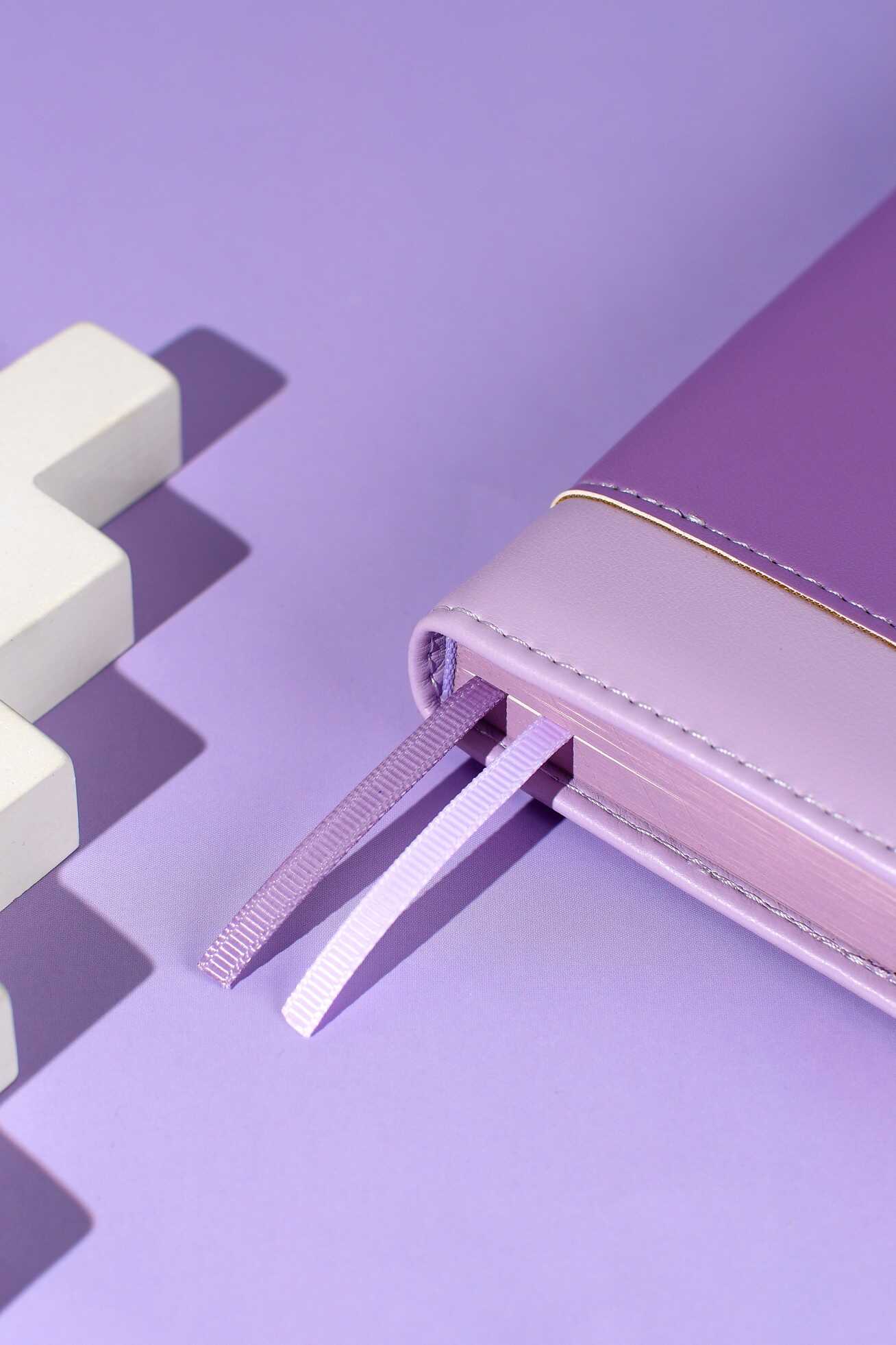 Ежедневник Феникс + ESCALADA 160 лист. - фото 9