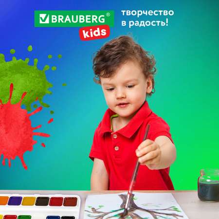 Краски акварель Brauberg 12 цв.