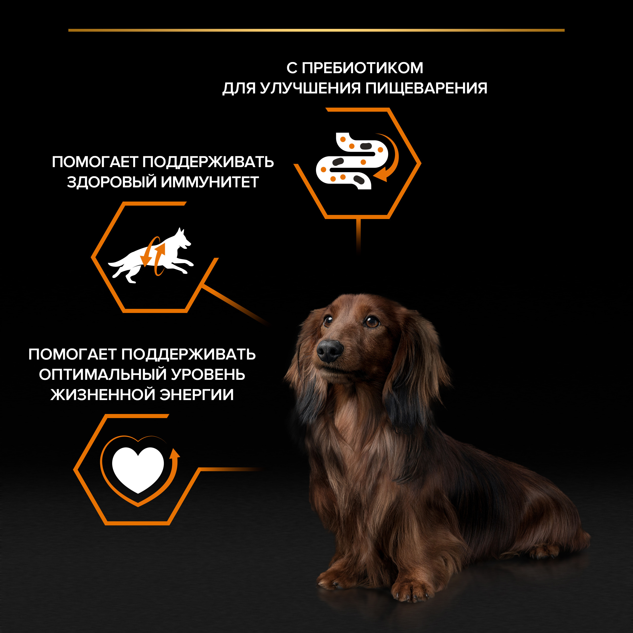Корм для собак PRO PLAN взрослых говядина пауч 85г - фото 4
