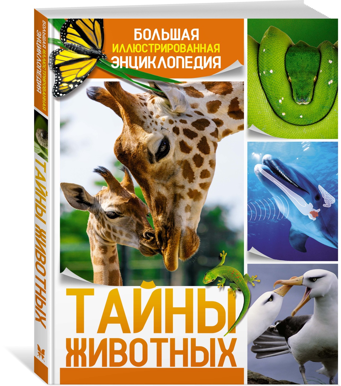 Книга Махаон Бертонатти К. Перейра Х. А. Тайны животных - фото 2