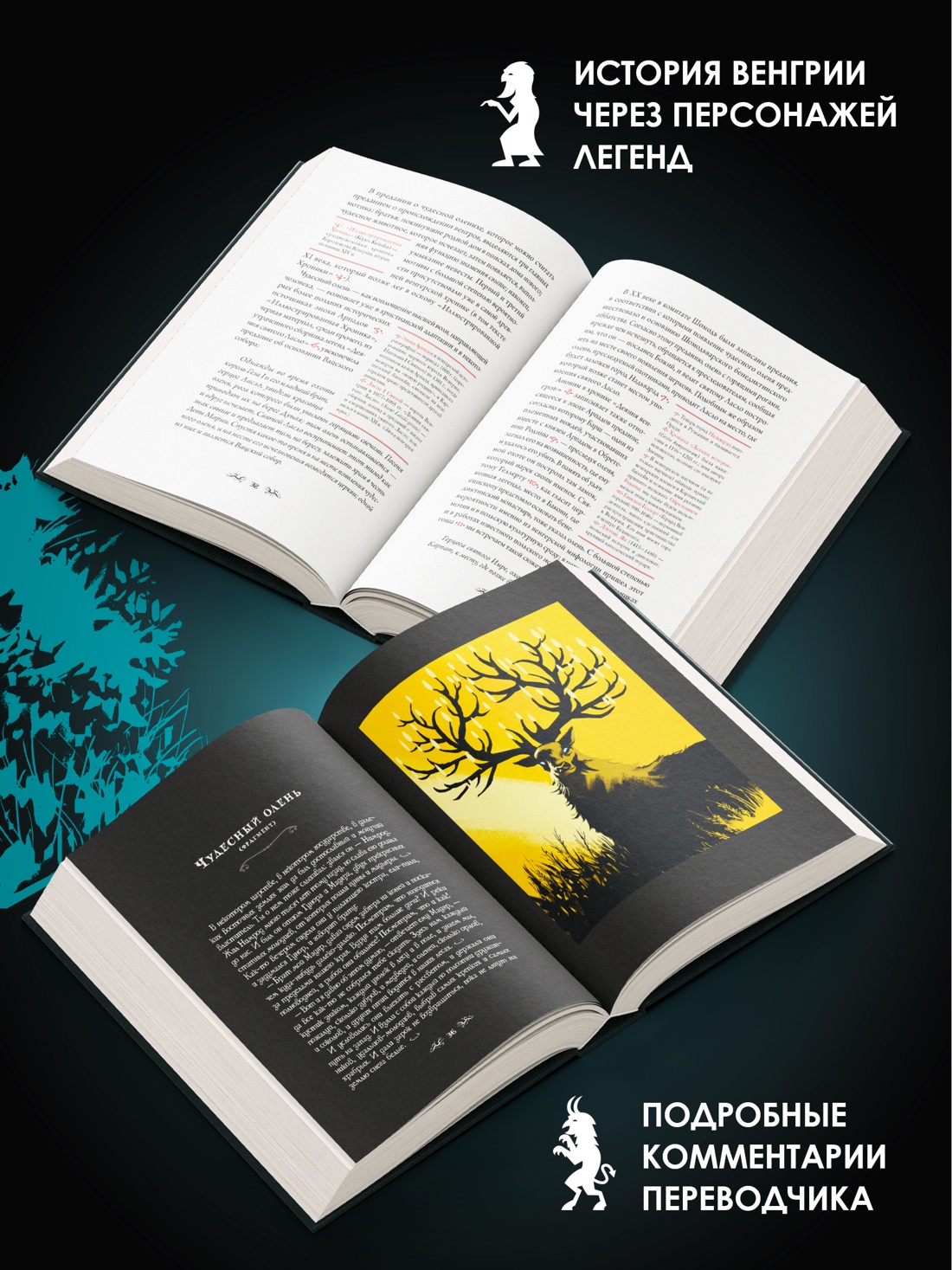 Книга КОЛИБРИ Венгерский бестиарий - фото 6