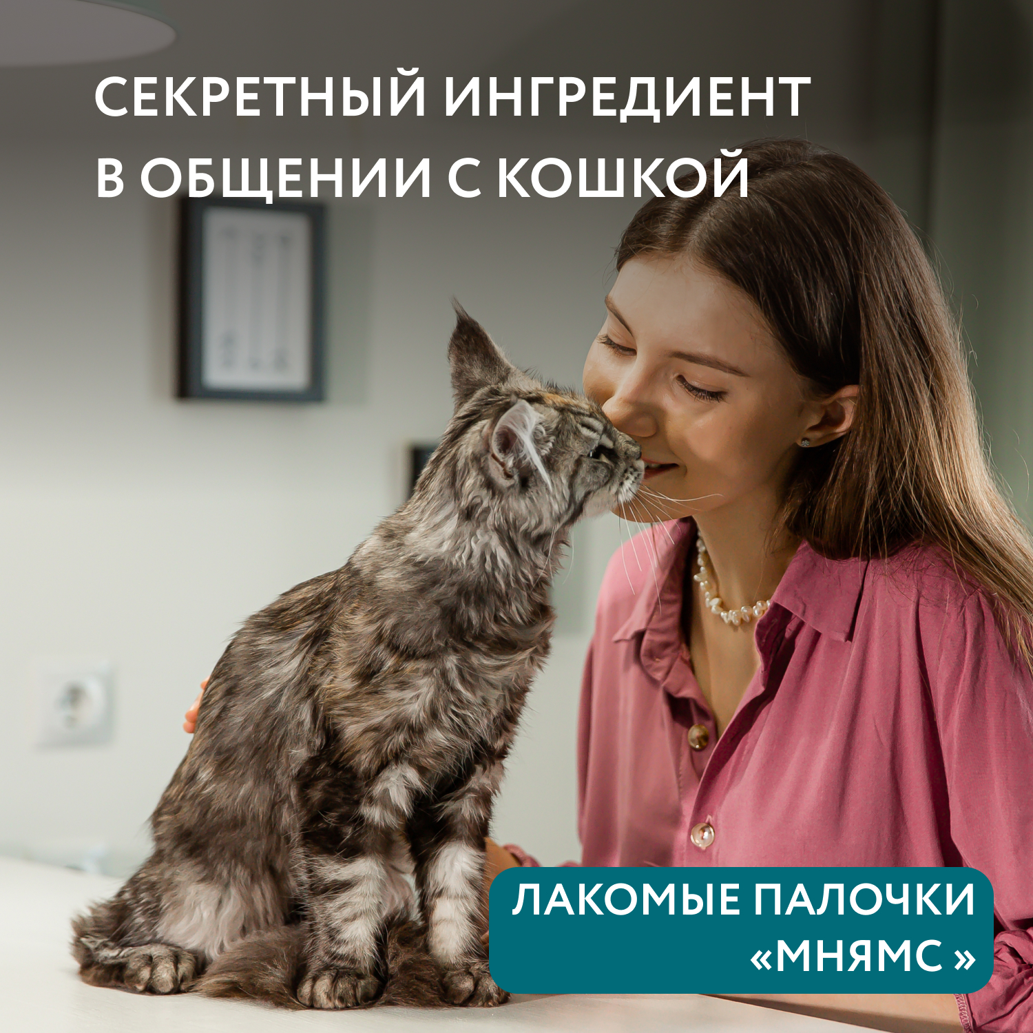 Лакомство для кошек Мнямс лакомые палочки для стерилизованных из индейки и цыпленка 3*5г - фото 6