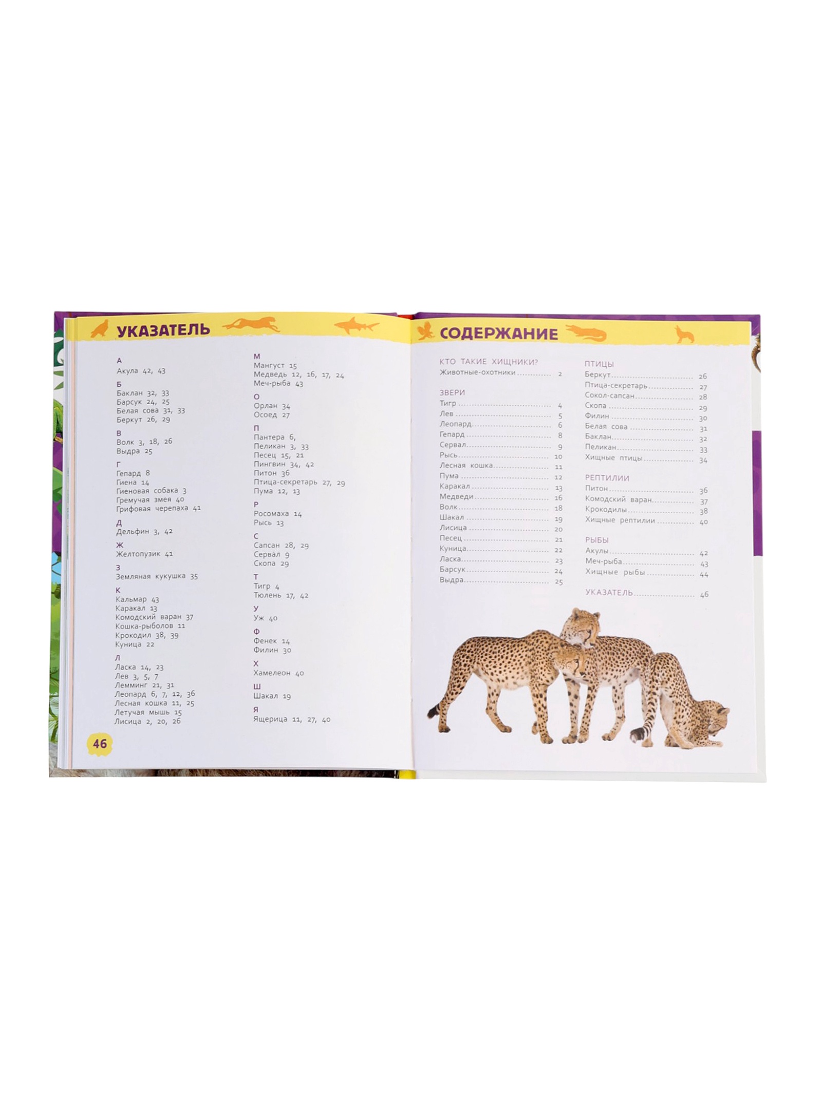 Детская энциклопедия Росмэн Дикие животные - фото 5