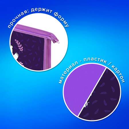 Папка для тетрадей Пифагор А4