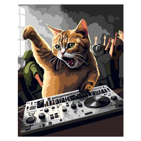 Картина по номерам Art sensation Кот DJ в ассортименте