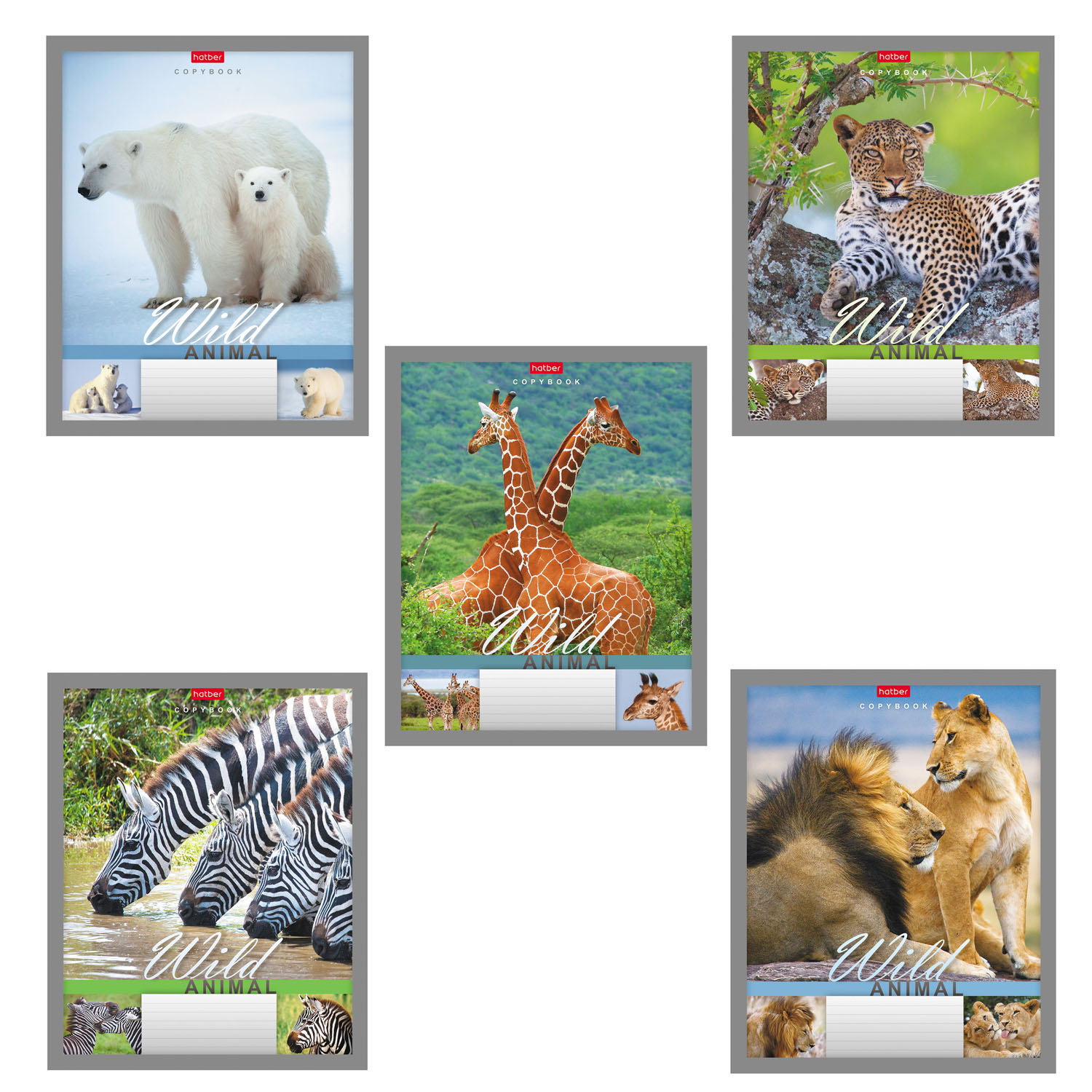 Тетрадь Hatber линейка 24 лист. - фото 1