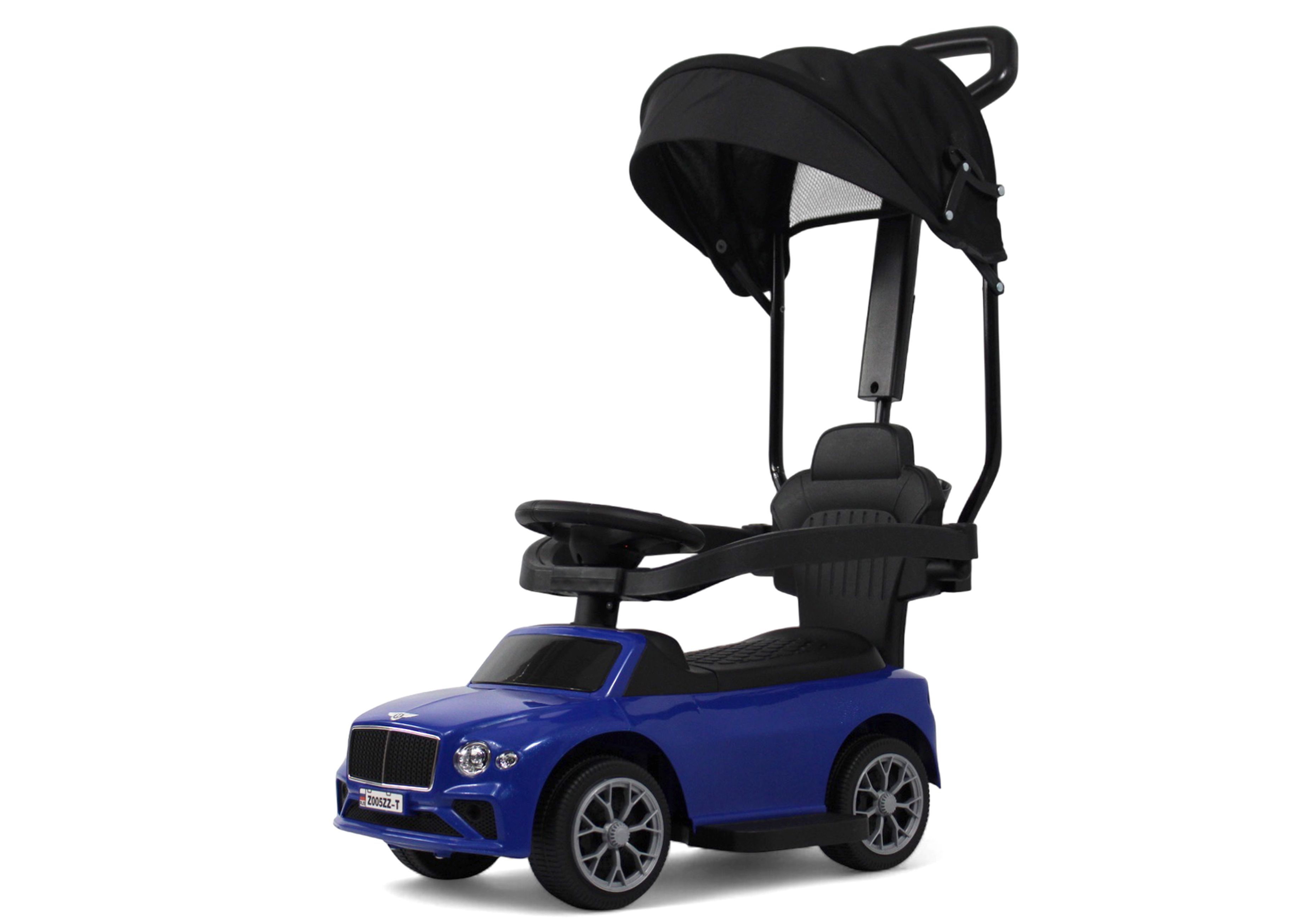 Каталка RIVERTOYS Z005ZZ-T-BLUE синий - фото 20