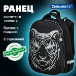 Ранец Brauberg