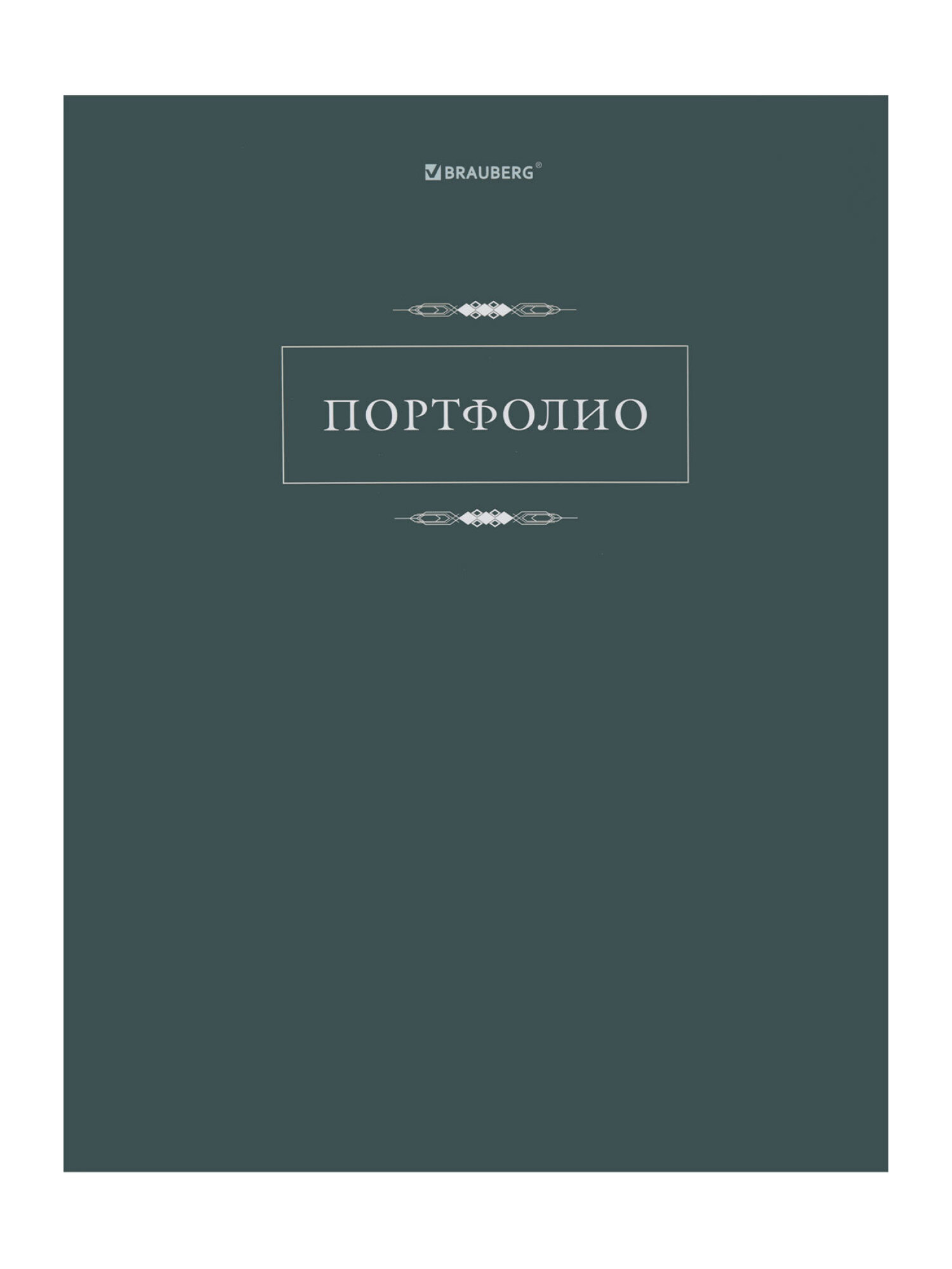 Портфолио школьника Brauberg папка А4 на кольцах 20 файлов для девочки и мальчика - фото 9