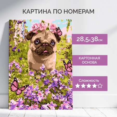 Картина по номерам LORI(колорит) Маленький пёсик