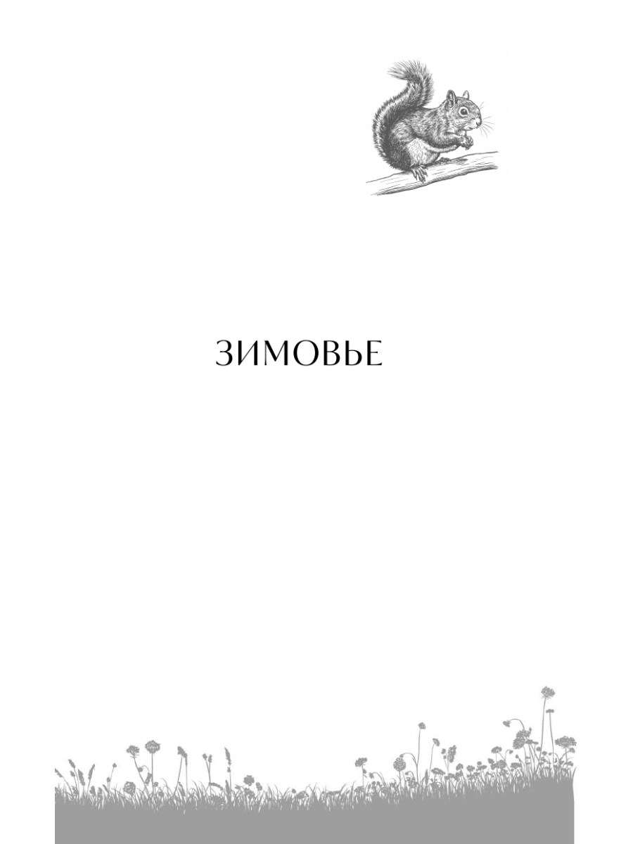 Книга Эксмо Рябиновый берег - фото 7