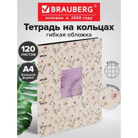 Тетрадь со сменным блоком Brauberg клетка 120 лист.