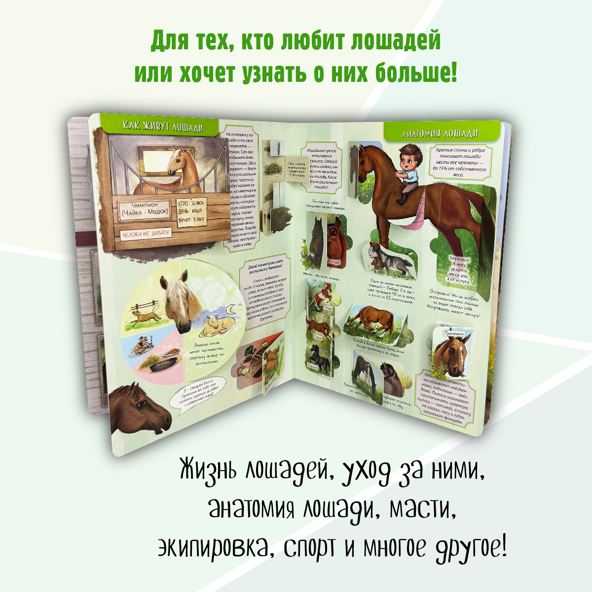 Энциклопедия с окошками БимБиМон книга детская - фото 3
