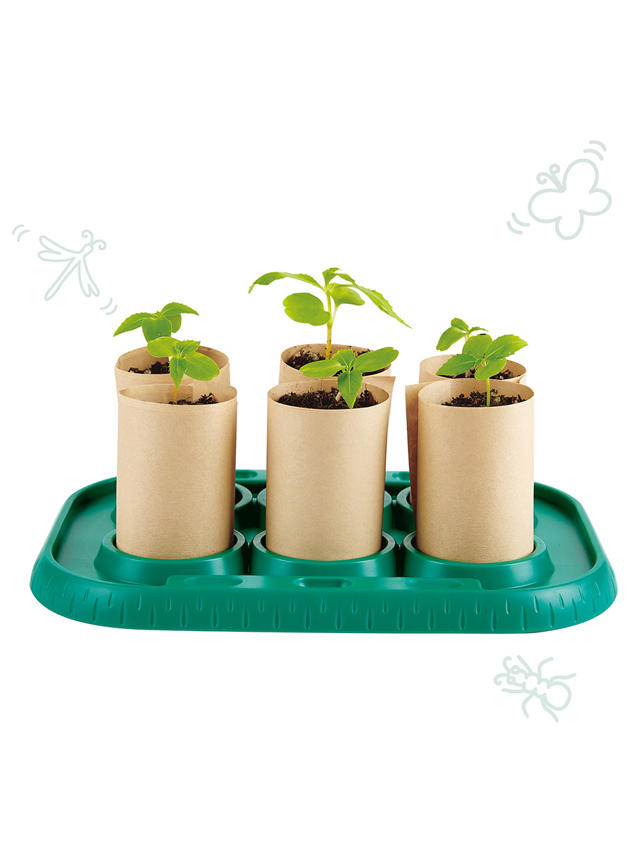 Набор для выращивания Hape - фото 5