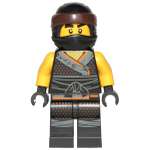 Фигурка LEGO Cole Sons