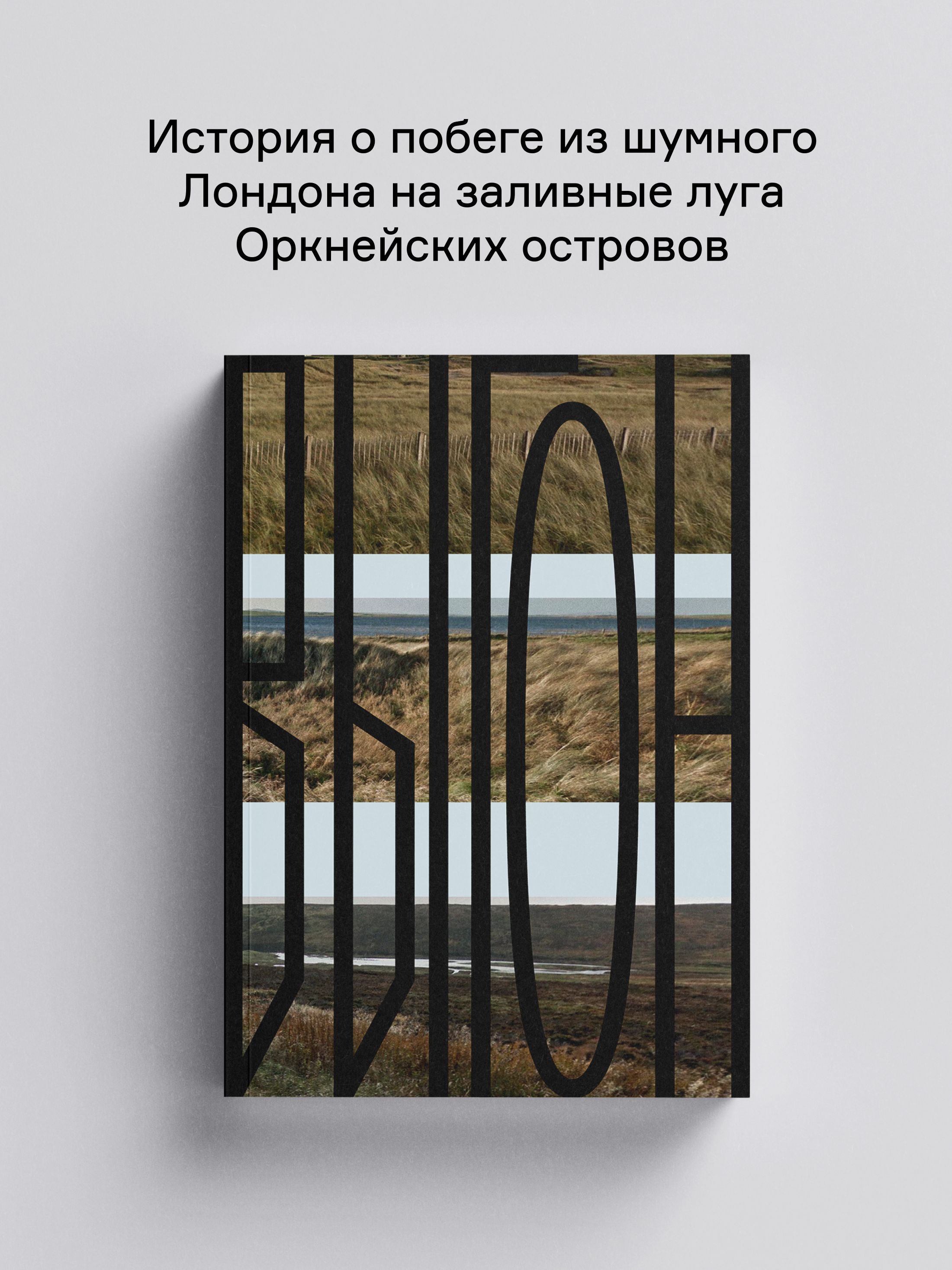 Книга Ad Marginem Выгон - фото 1