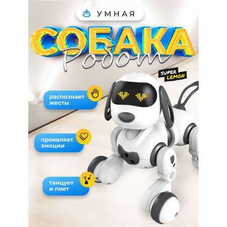 Собака РУ Super Lemon