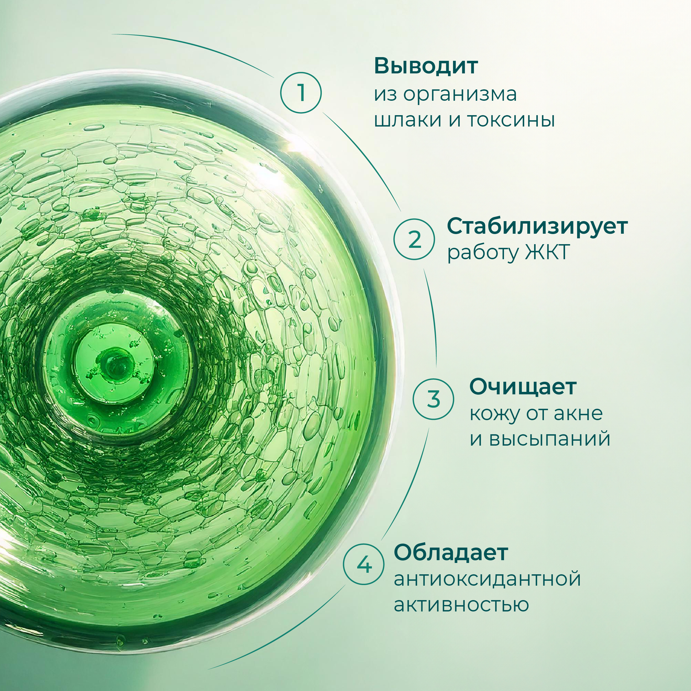 Хлорофилл жидкий LeafToGo натуральный, 500 мл - фото 3