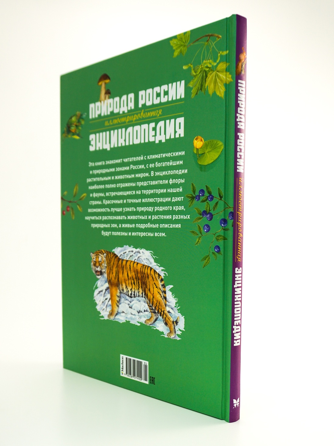 Книга Махаон Наша родина - Россия. Большой комплект из 7 книг - фото 9