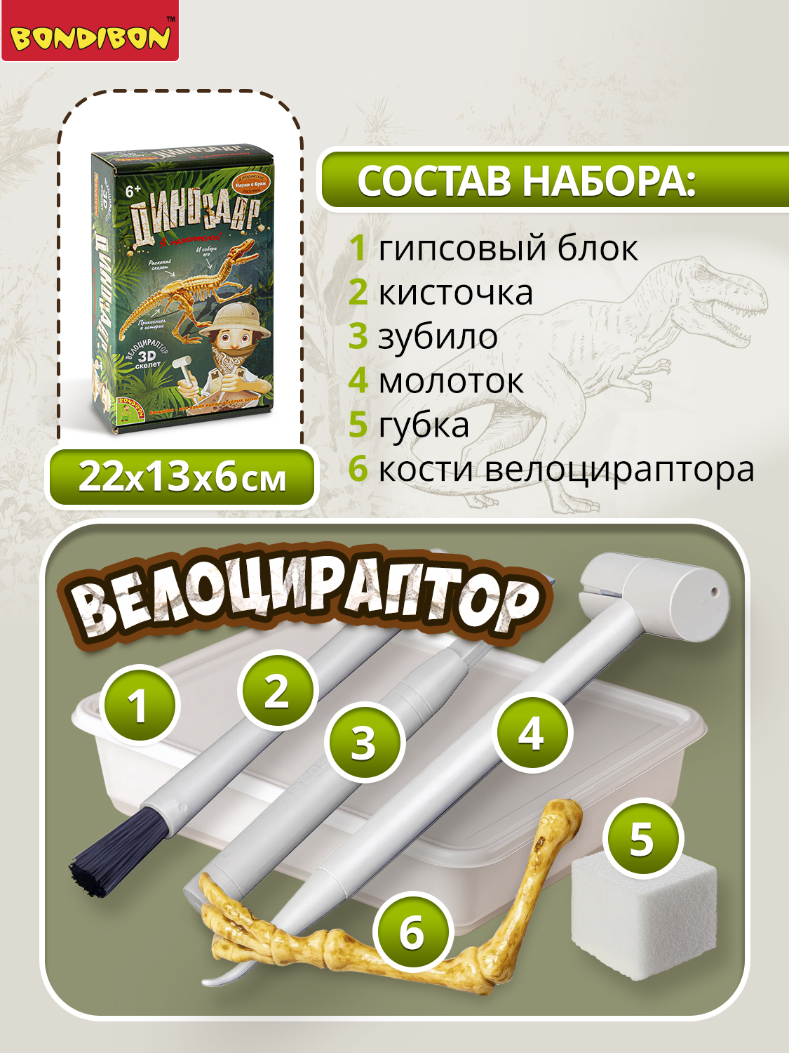 Набор для раскопок Bondibon Динозавр Велоцираптор скелет - фото 3