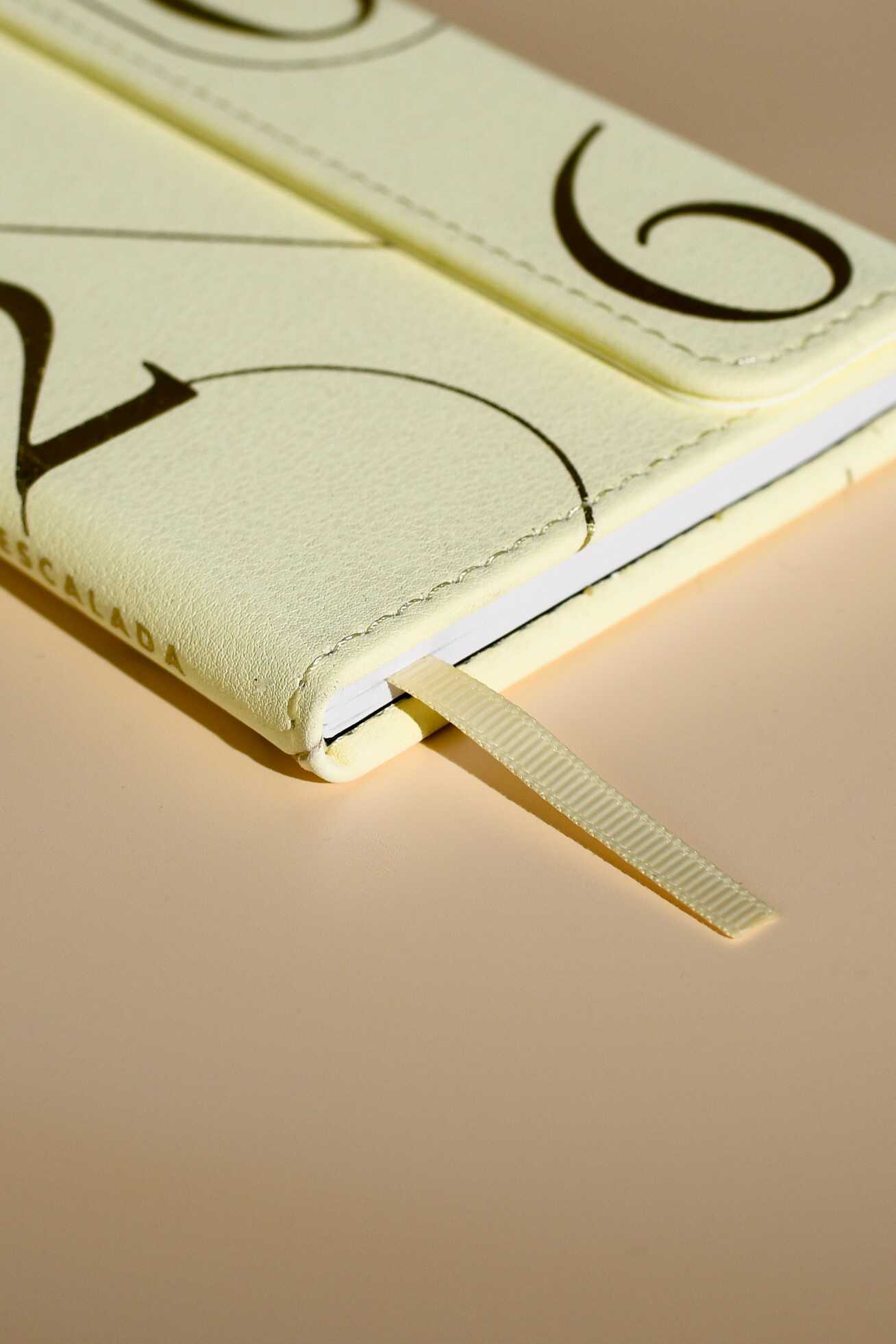 Ежедневник Феникс + ESCALADA 64 лист. - фото 2