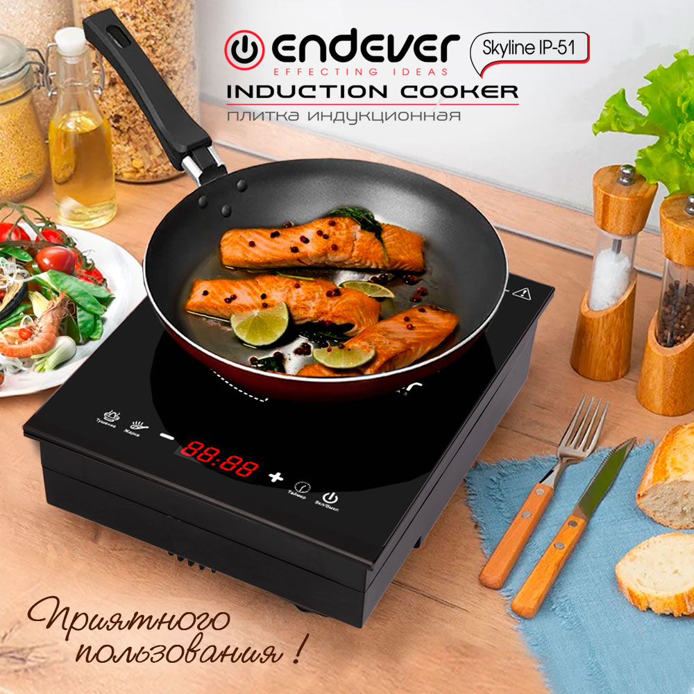 Плита ENDEVER Skyline IP-51 - фото 1