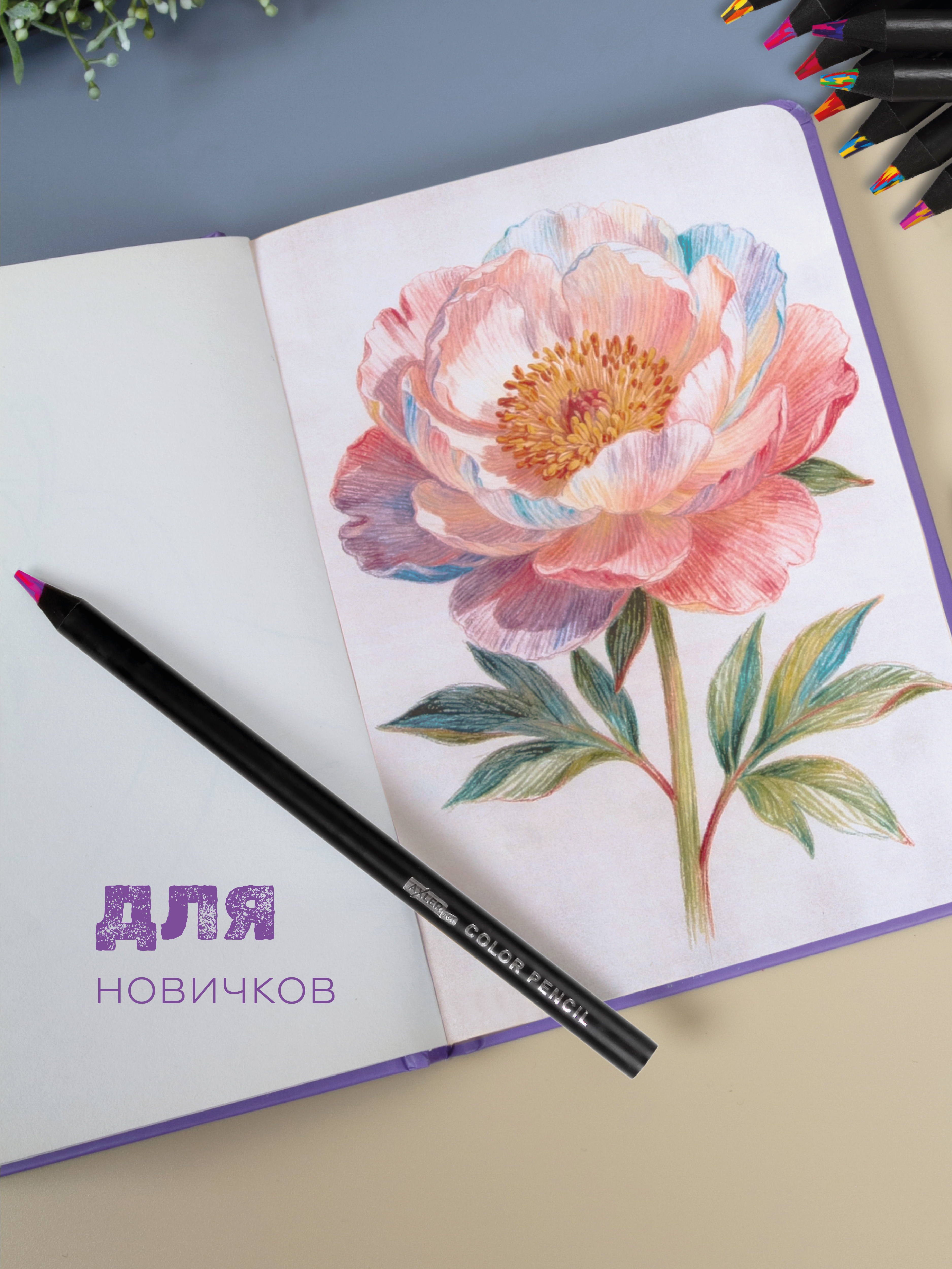 Карандаши цветные AXLER 12 шт. - фото 8